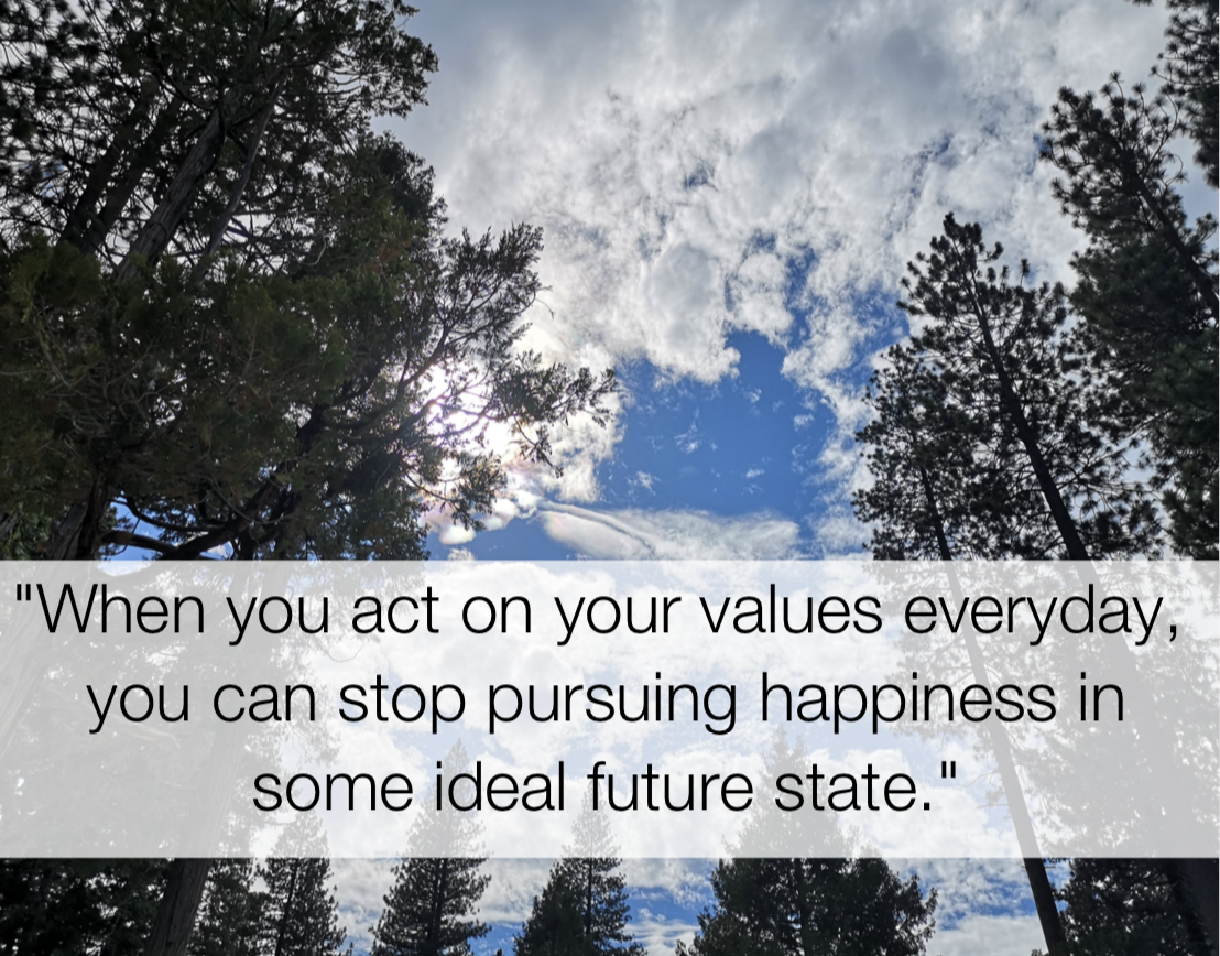 When you act on your values everyday, you can stop pursuing happiness in some ideal future state., act quotes, © Shamash Alidina