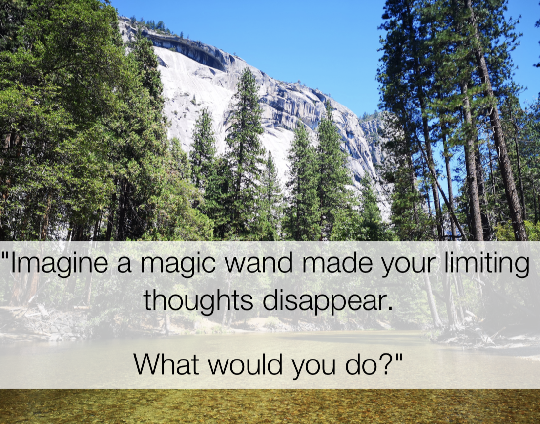 Imagine a magic wand made your limiting thoughts disappear. What would you do? - act quote, shamash alidina