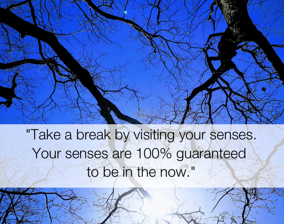 Take a break by visiting your senses. Your senses are 100% guaranteed to be in the now. act quotes by shamash alidina