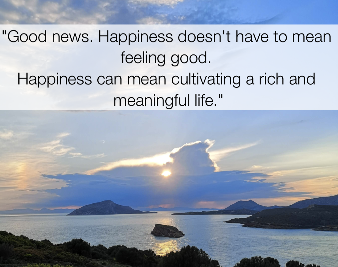 Good news. Happiness doesn’t have to mean feeling good. Happiness can mean cultivating a rich and meaningful life. - act quotes, Shamash Alidina