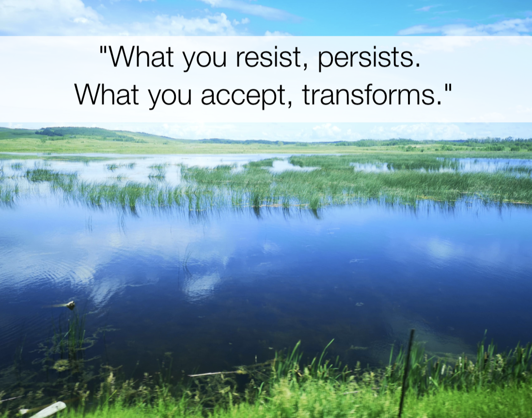What you resist, persists. What you accept, transforms. - act quote, © Shamash Alidina