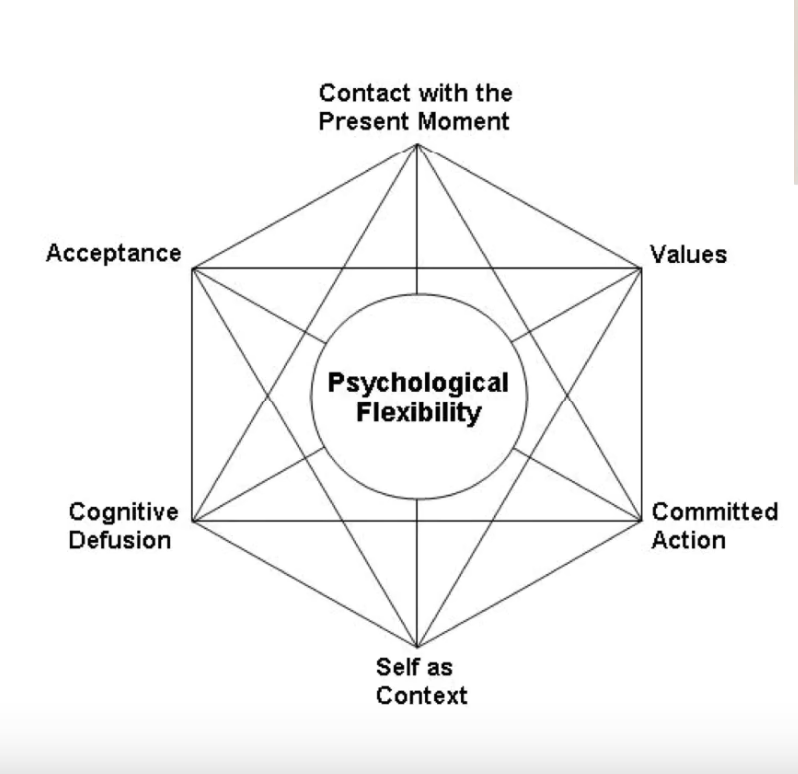 Diagram of the ACT Hexaflex: six processes — contact with the present moment, values, committed action, self as context, cognitive defusion, and acceptance — arranged around a central circle labelled Psychological Flexibility