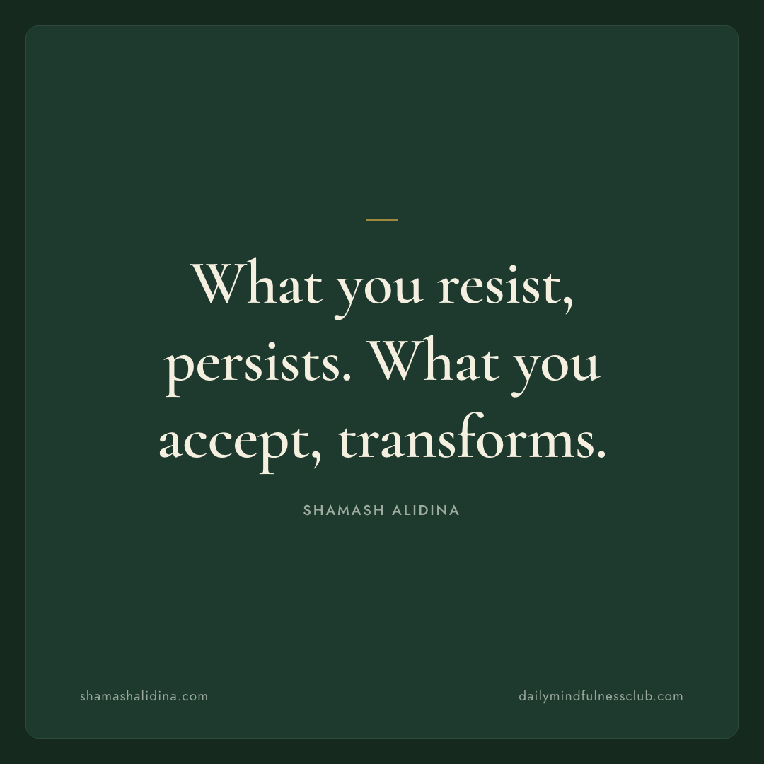 What you resist, persists. What you accept, transforms. - act quote, © Shamash Alidina
