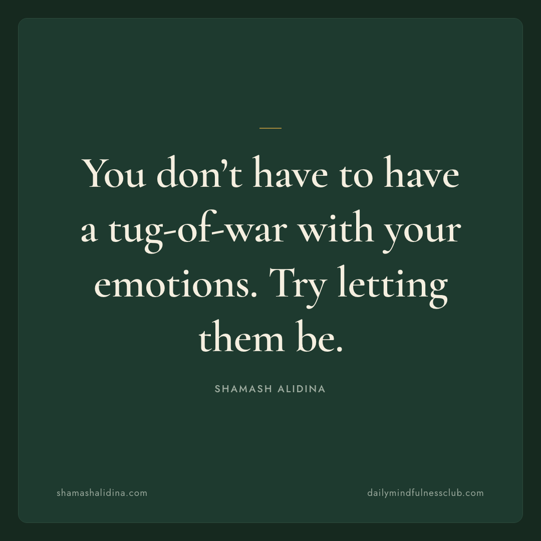 You don’t have to have a tug-of-war with your emotions. Try letting them be. - act quotes, Shamash Alidina